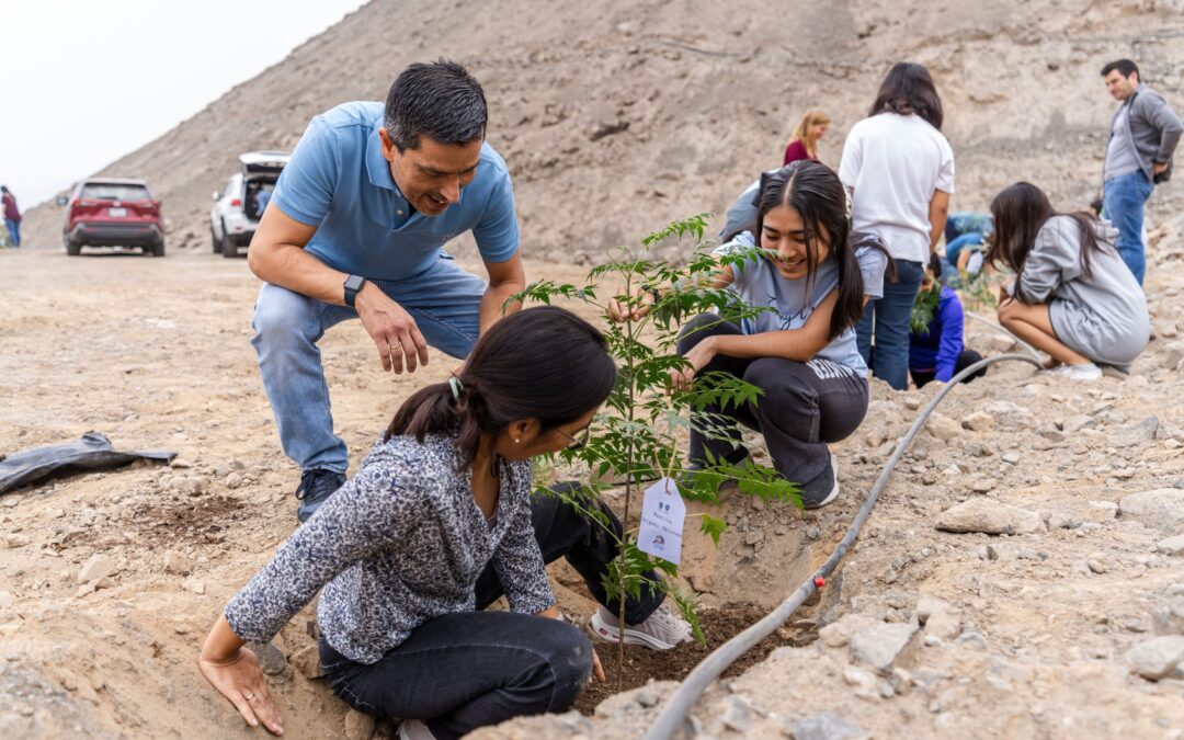 Jornada de Forestación VCSP